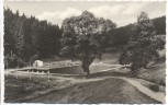 AK Lauscha Thüringen Waldbad im Steinachgrund 1967