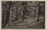 AK Foto Dippmannsdorf Kreis Belzig Im Paradies Eva-Berg Landpoststempel 1930