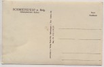 AK Foto Schmiedefeld a. Rstg. Schmiedefelder Raben Musiker 1950