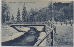 VERKAUFT !!!   AK Edle Krone Partie an der Weisseritz im Winter b. Tharandt 1919