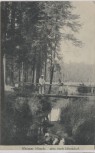 AK Dresden Weisser Hirsch Weg nach Ullersdorf 1910