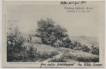 VERKAUFT !!!   Künstler-AK Loschwitz Eduard Leonhardi Ludwig Richter-Feier b. Dresden 1903 RAR