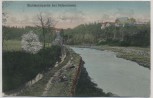 AK Muldentalpartie bei Hohentanne b. Großschirma 1910