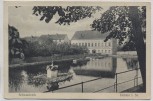 AK Dahlen in Sachsen Schwanteich 1934 RAR