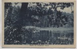 AK Gruß aus Ochsensaal Partie am krummen Teich b. Dahlen Sachsen 1923