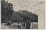 AK Gruss vom Meiseberg im Selketal Harz b. Ballenstedt 1906