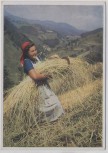 VERKAUFT !!!   Künstler-AK Hans Retzlaff Erntearbeit beim Gebirgsbauern Reichsarbeitsdienst für die weibliche Jugend Serie II Nr. 6 1935