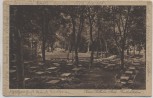 AK Göttingen Kaiser Wilhelm Park Freilichtbühne 1930 RAR