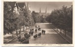 AK Wernigerode Neuer Markt Blick vom Hotel zur Sonne Viehtrieb 1930