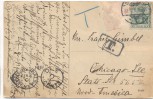 VERKAUFT !!!   AK Darmstadt Botanischer Garten Nadelholzgruppe 1911