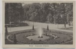 AK Bonn Baumschuler Wäldchen 1910