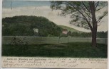 AK Bad Kissingen Partie mit Altenberg und Staffelsberg 1904