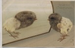 Künstler-AK Herzlichen Ostergruss Küken im Vexierspiegel 1911