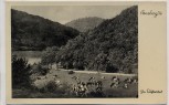 AK Arnsberg in Westfalen Im Seufzertal mit Kühen 1940