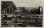 AK Foto Bielefeld Botanischer Garten 1940