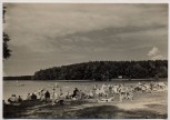 AK Foto Neuglobsow Badestrand am Stechlin-See Stechlin 1963