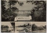 AK Mehrbild Caputh an der Havel Schwielowsee 1965
