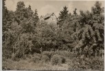 AK Foto Langewiesen in Thüringen Karl Zink Heim 1970