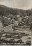 AK Foto Tanne / Oberharz Kurpark mit Waldstraße Oberharz am Brocken 1966