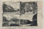 AK Mehrbild Gruss aus dem Glüsing bei Schnakenbek Lauenburg Elbe 1902 RAR